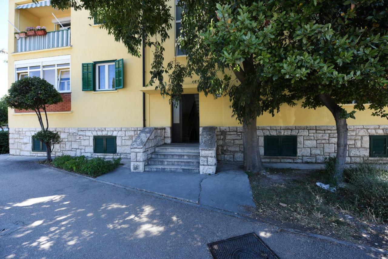 Apartment Lux *